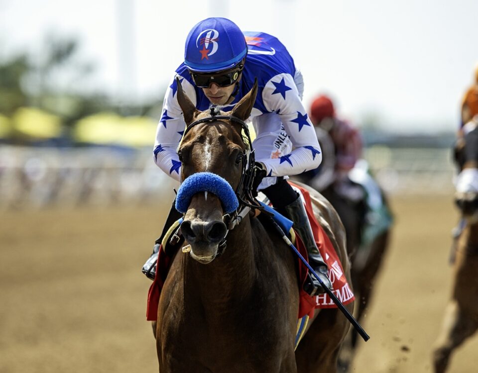Himika - Sorrento G3 - Benoit Photo