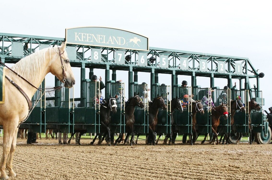 Keeneland - Coady Media
