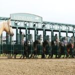 Keeneland - Coady Media