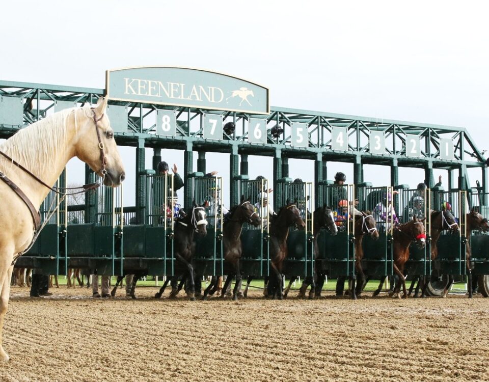 Keeneland - Coady Media