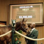 Keeneland September Sales HIP 177 - Keeneland Photo