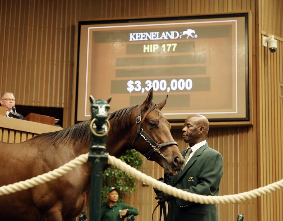 Keeneland September Sales HIP 177 - Keeneland Photo