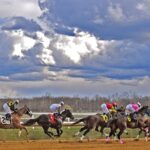 Laurel Park scenic - Jim McCue / MJC