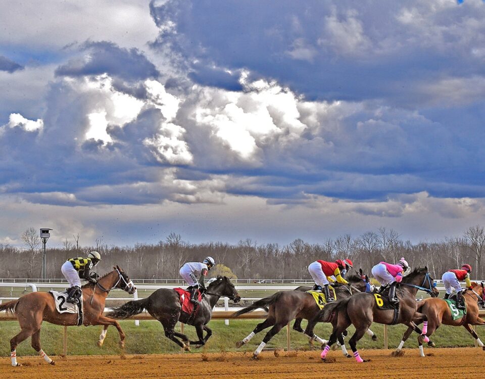Laurel Park scenic - Jim McCue / MJC