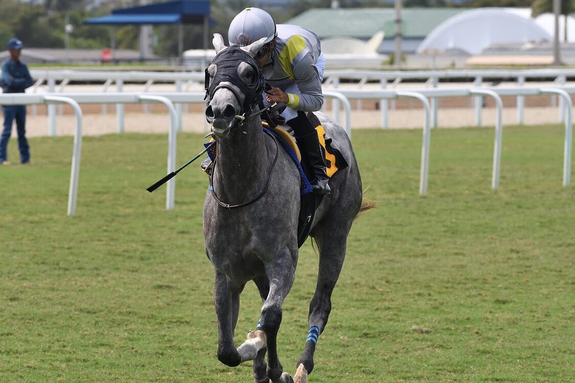 Lennilu - Ryan Thompson/Coglianese Photo