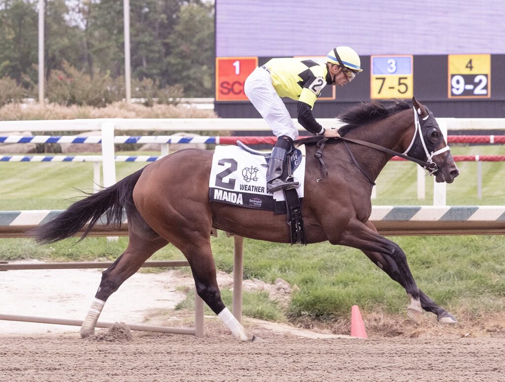 The Weather Vane Stakes - MAIDA - Jim McCue - MD Jockey Club