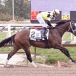 The Weather Vane Stakes - MAIDA - Jim McCue - MD Jockey Club