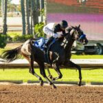 NOTHING LIKE YOU - Dark Mirage Stakes - Los Alamitos Race Course Cypress, CA. ©️ BENOIT PHOTO