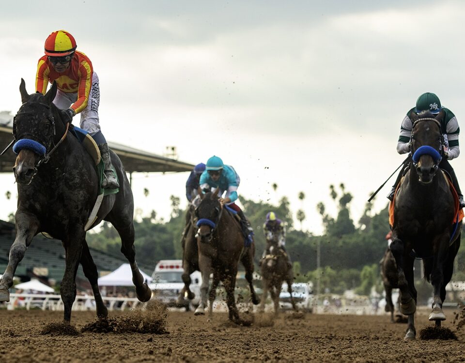 Nevada Beach - Goodwood Stakes G1 - Benoit Photo