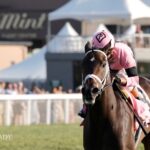 Ole Crazy Bone - Kentucky Turf Cup Invitational G2 - Coady Media