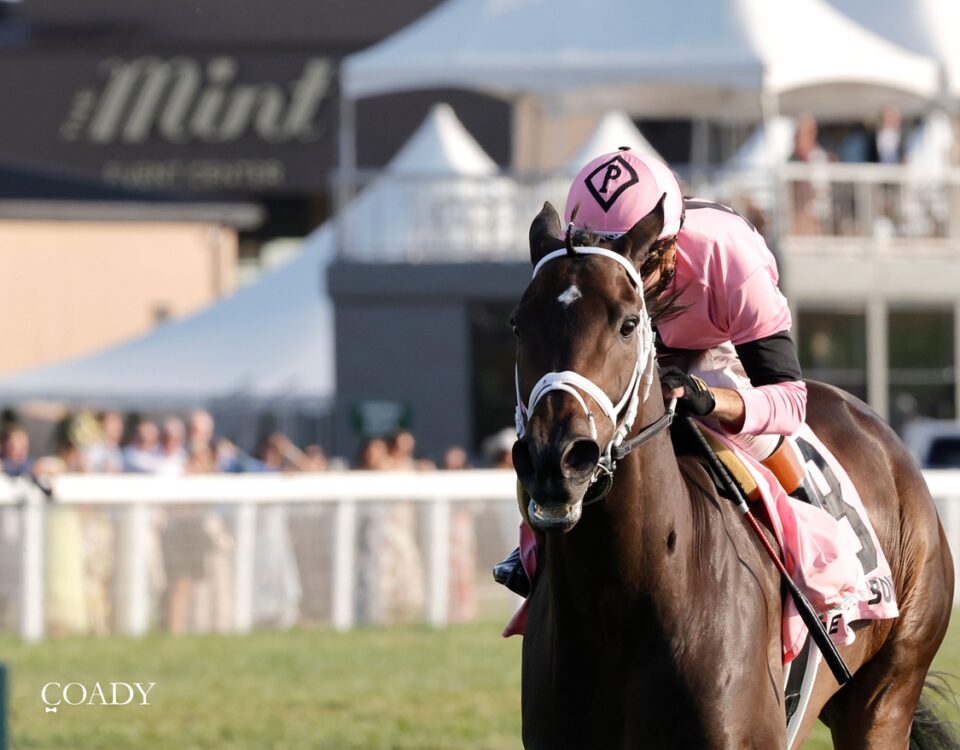 Ole Crazy Bone - Kentucky Turf Cup Invitational G2 - Coady Media