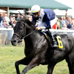 PLENSA - The Exacta Systems Gun Runner - Kentucky Downs- Christine Hayden - Coady Photo