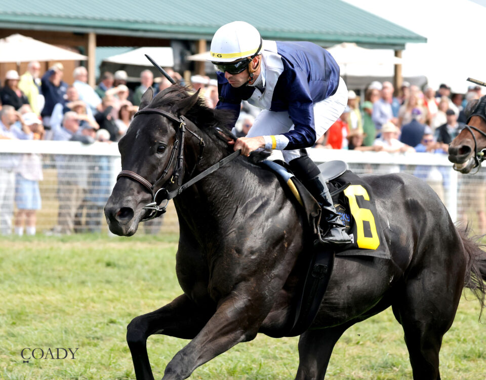 PLENSA - The Exacta Systems Gun Runner - Kentucky Downs- Christine Hayden - Coady Photo