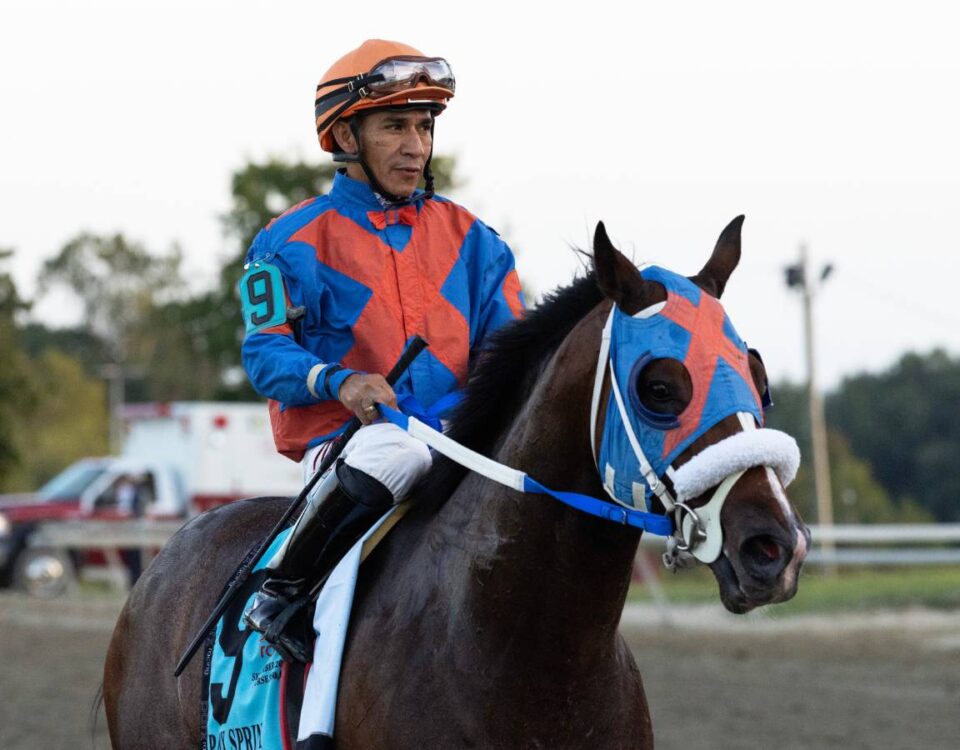 Paco Lopez - Taylor Edjys/EQUI-PHOTO