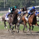 Parx Racing final stretch - Taylor Ejdys/EQUI-PHOTO