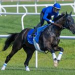 Rebel's Romance - Barbara D. Livingston / Daily Racing Form