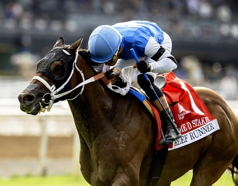 Reef Runner - Eddie D Stakes G2 - Benoit Photo
