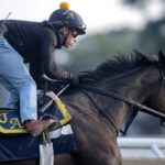 Scottish Lassie - Barbara D. Livingston - Daily Racing Form