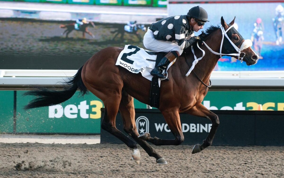 Silver is Best - $100,000 Bull Page Stakes - Woodbine/Michael Burns Photo