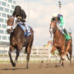 Souper Diva - $100,000 Victorian Queen Stakes - Woodbine/Michael Burns Photo