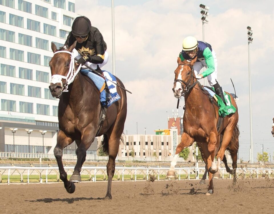 Souper Diva - $100,000 Victorian Queen Stakes - Woodbine/Michael Burns Photo