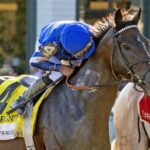 Sovereignty - Debbie Roma - Daily Racing Form