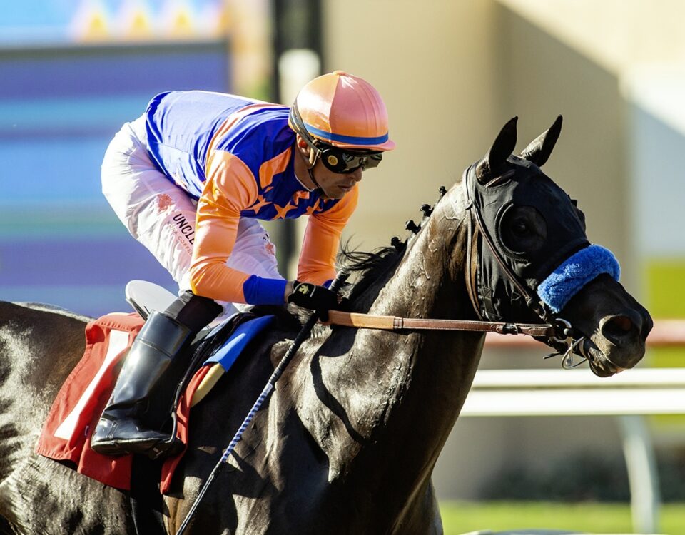 Splendora - Tranquility Lake Stakes - Benoit Photo
