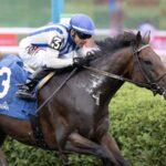 Stars and Strides - Saranac Stakes - Barbara D. Livingston / Daily Racing Form