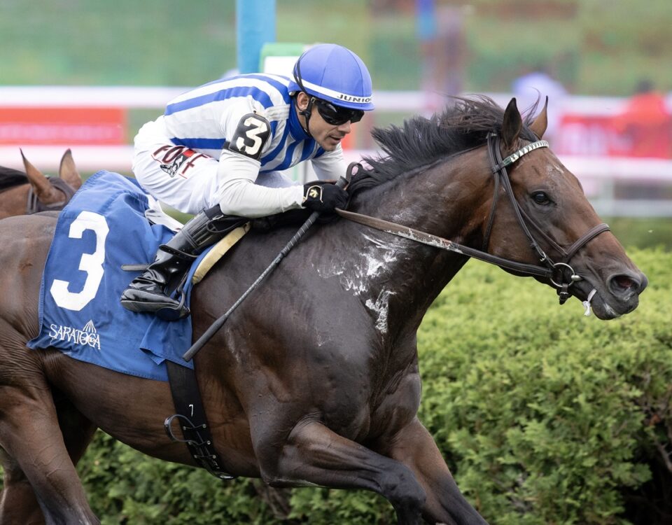 Stars and Strides - Saranac Stakes - Barbara D. Livingston / Daily Racing Form