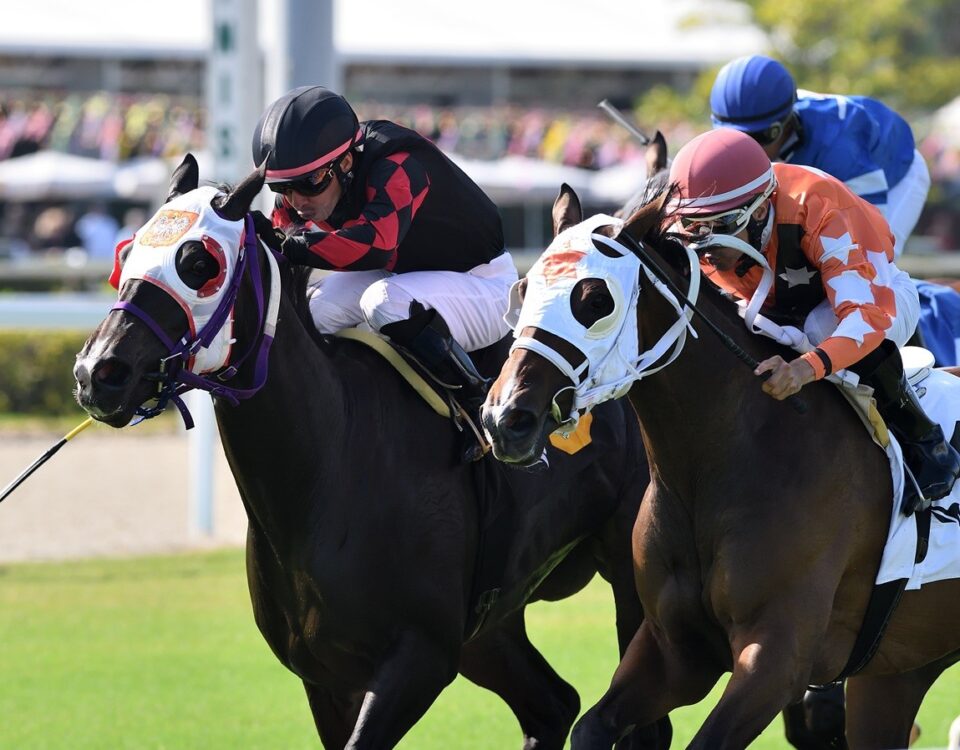 Starship Impulsive - Ryan Thompson - Coglianese Photo