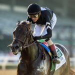 Straight No Chaser - Benoit Photo