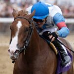 Sunday Girl - Barbara D. Livingston / Daily Racing Form