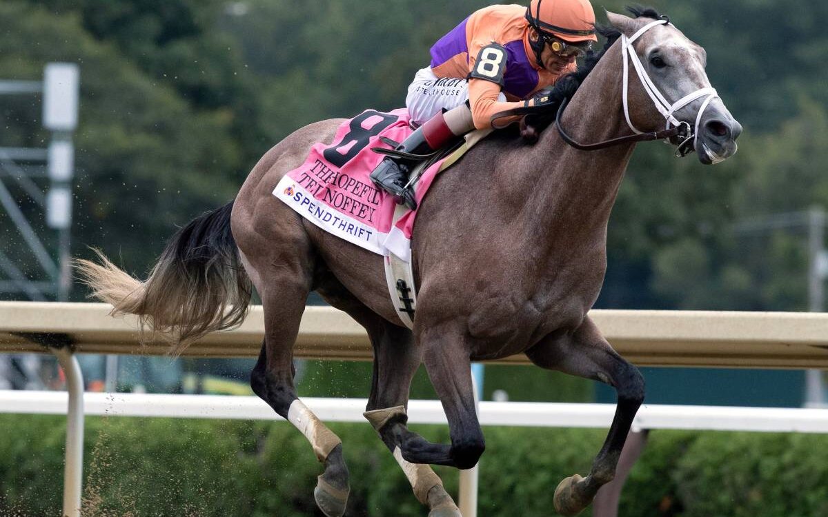 Ted Noffey - Hopeful G1 - Barbara D. Livingston / Daily Racing Form
