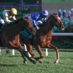 Tom's Magic - Breeders' Stakes - Julie Wright/Daily Racing Form