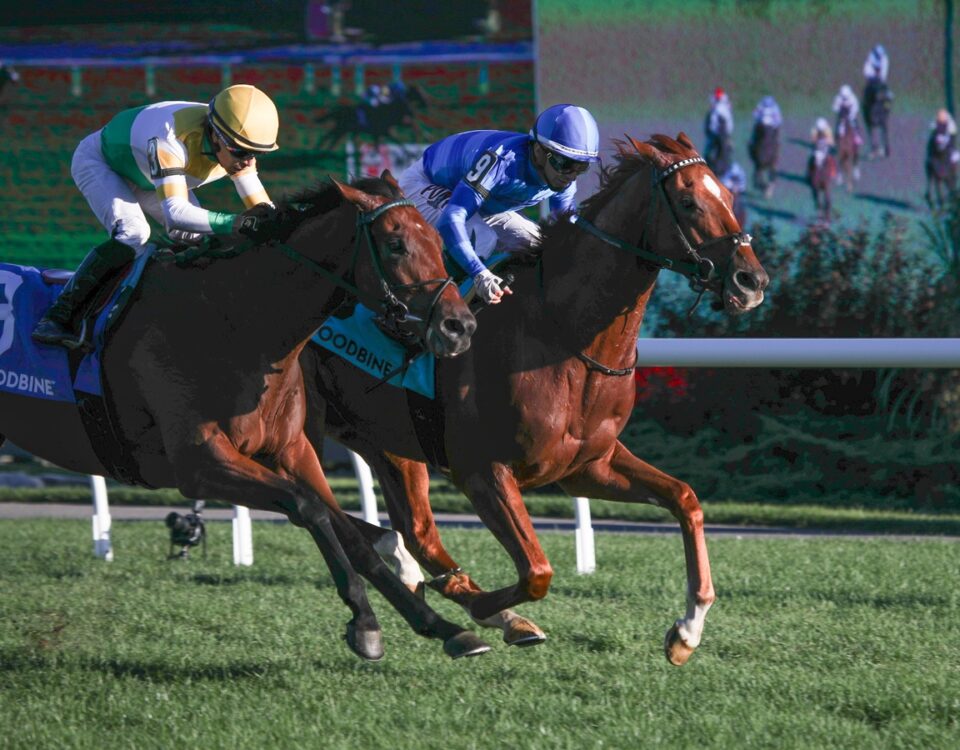 Tom's Magic - Breeders' Stakes - Julie Wright/Daily Racing Form