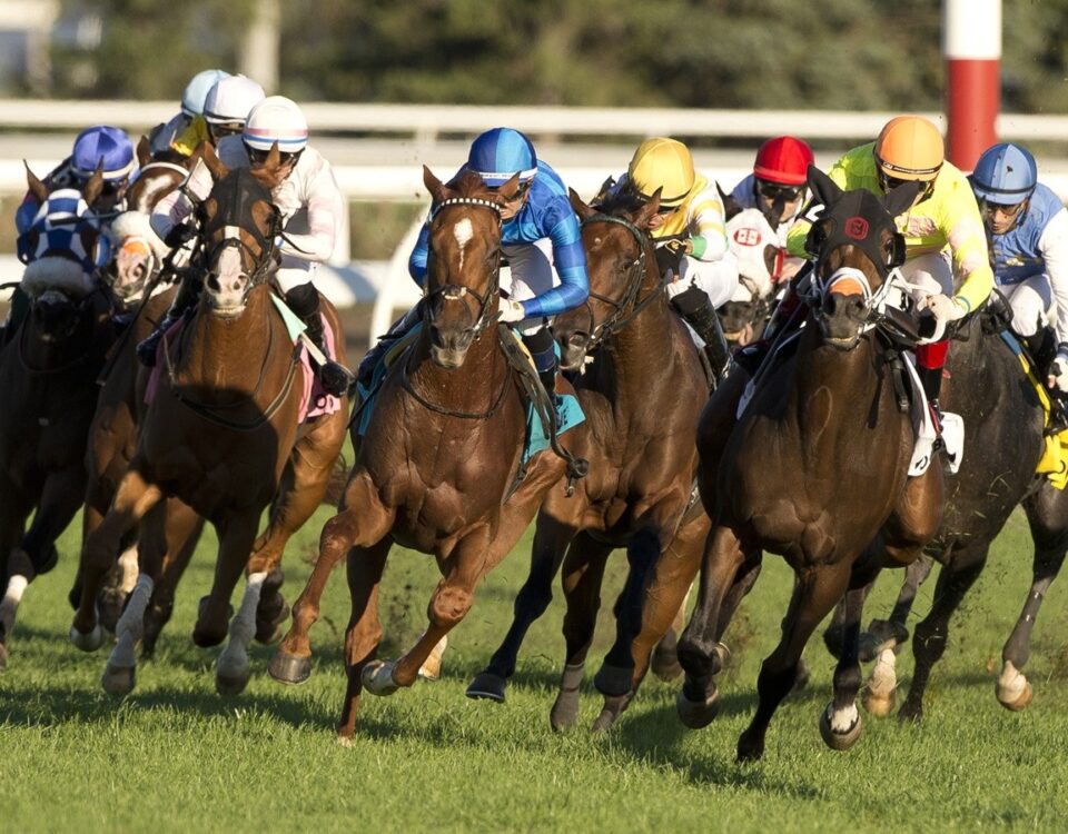 Woodbine - Michael Burns