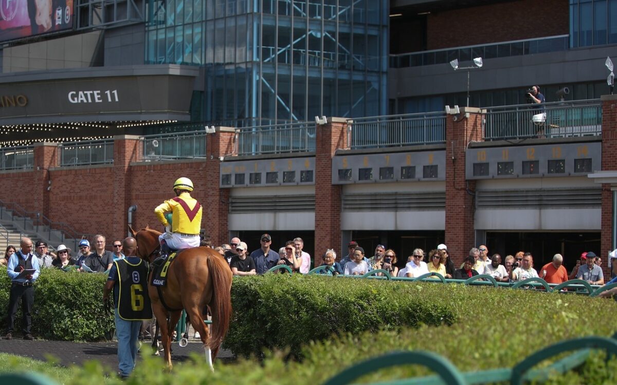 Woodbine Scenic - credit Julie Wright - Daily Racing Form