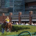 Woodbine Scenic - credit Julie Wright - Daily Racing Form