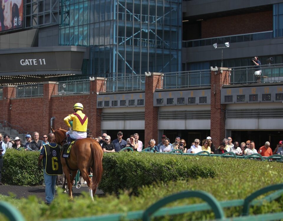 Woodbine Scenic - credit Julie Wright - Daily Racing Form