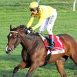 ADMIT - The Bank of America Valley View G2 - Keeneland - John Gallagher - Coady Media