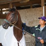 Baeza - Photo By Nikki Sherman/EQUI-PHOTO
