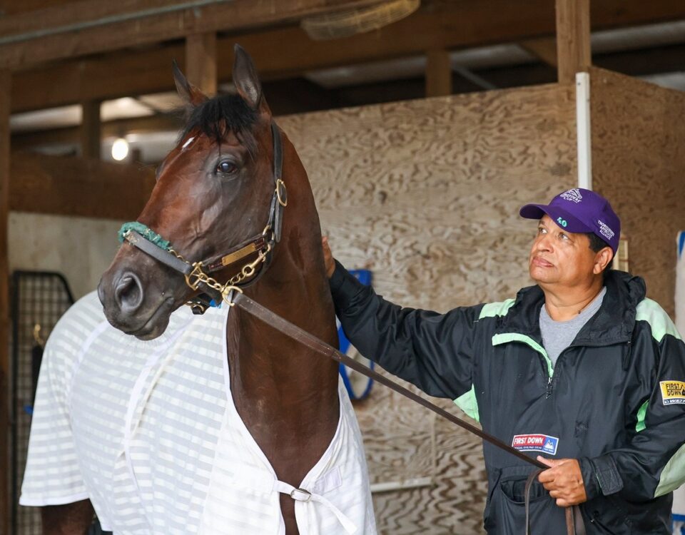 Baeza - Photo By Nikki Sherman/EQUI-PHOTO