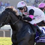 Balantina - BC Juvenile Fillies Turf - Barbara D. Livingston - Daily Racing Form