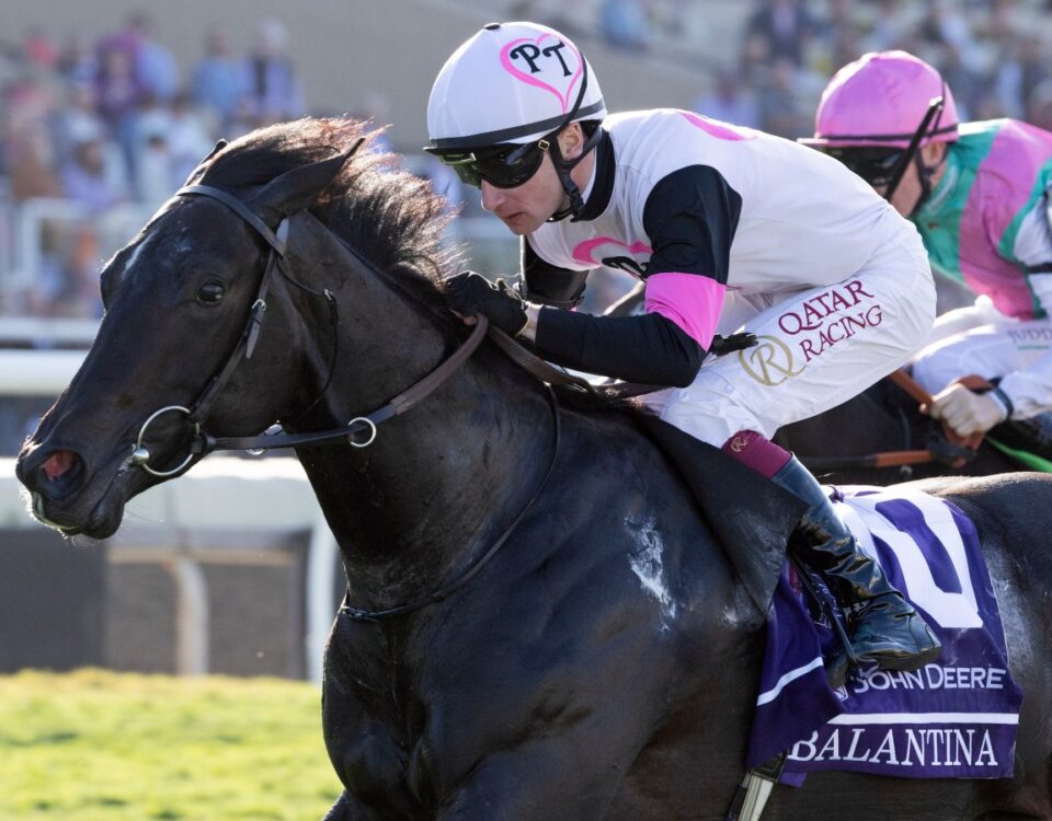 Balantina - BC Juvenile Fillies Turf - Barbara D. Livingston - Daily Racing Form