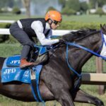 Bentornato - Barbara D. Livingston/Daily Racing Form