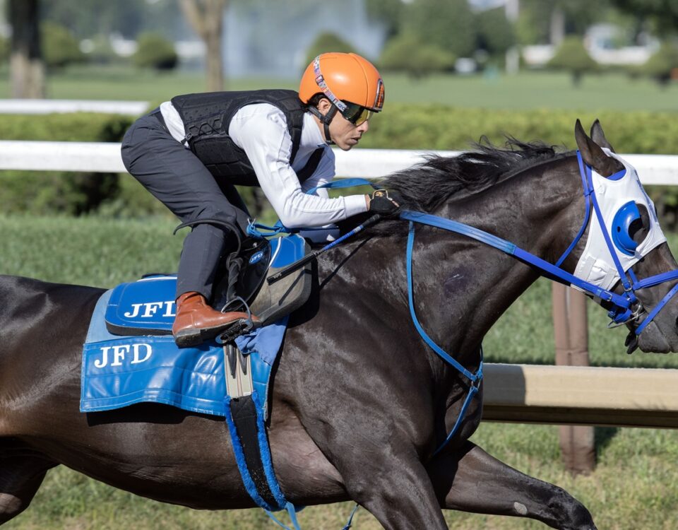 Bentornato - Barbara D. Livingston/Daily Racing Form