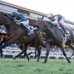 Breeders' Cup Juvenile Turf 2024 - Barbara D. Livingston / Daily Racing Form