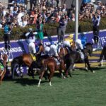 Breeders Cup Turf 2024 scenic - Justin Lane - Daily Racing Form