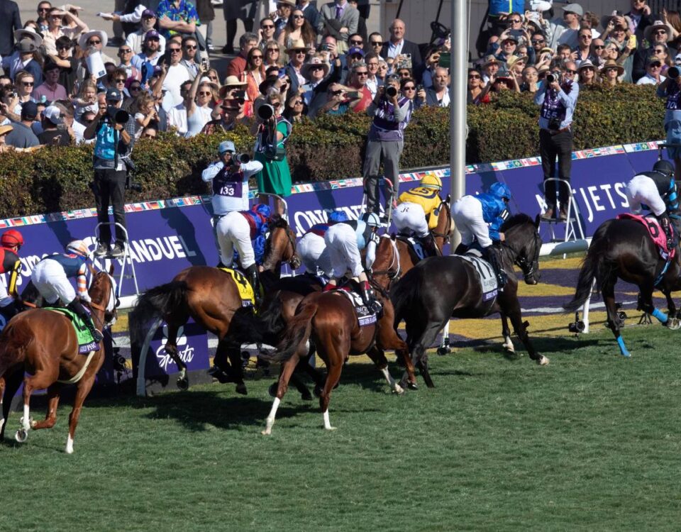 Breeders Cup Turf 2024 scenic - Justin Lane - Daily Racing Form