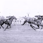 Canonero ll - Gustavo Avila - Preakness Stakes 1971 - Archivo Daily Racing Form